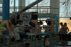 osterschwimmen15039