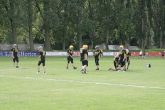 FamilienFest2011-00001