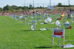 indeland_tri_037