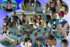 schwimmer1
