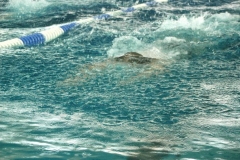 Osterschwimmen-2012-00109