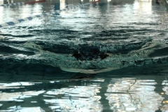Osterschwimmen-2012-00133