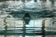 Osterschwimmen-2012-00161