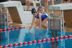 Sprinterkoenig2014-007