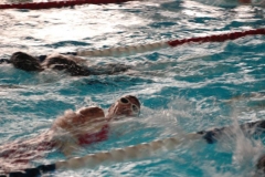 TriBrand2011a-0010