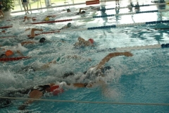 TriBrand2011a-0021