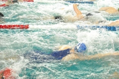 BrandTRI2012-00009