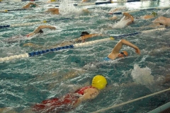 BrandTRI2012-00010