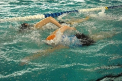 BrandTRI2012-00011