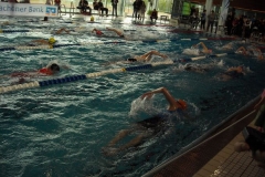 BrandTRI2012-00012