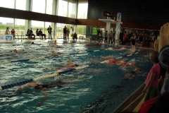 BrandTRI2012-00013