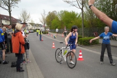 BrandTRI2012-00043