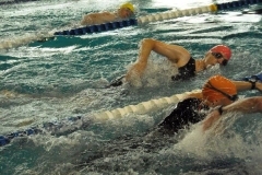 BrandTRI2012-00073