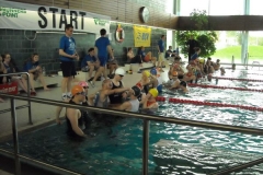 BrandTRI2012-00085