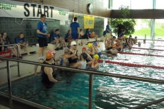 BrandTRI2012-00086