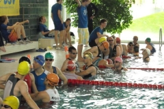 BrandTRI2012-00087