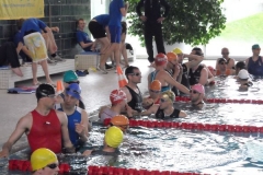 BrandTRI2012-00088