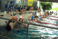 BrandTRI2012-00089