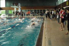 BrandTRI2012-00090