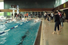 BrandTRI2012-00091