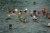 phoca_thumb_s_voerde-2